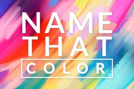 name that color logo